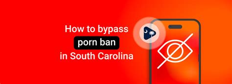 south carolina porn ban